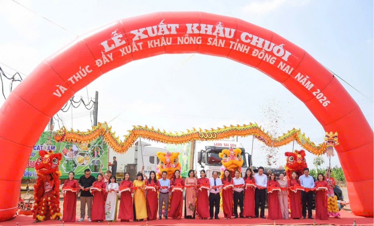 Đồng Nai xuất khẩu 220 tấn chuối, mở rộng thị trường nông sản năm 2026