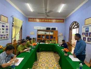 Quảng Trị: Khảo sát, hỗ trợ trồng rừng bản địa tại xã Minh Hóa