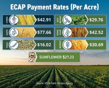 Thay đổi điều kiện hỗ trợ nông nghiệp tại Hoa Kỳ có thể làm tăng mức chi trả cho nông dân
