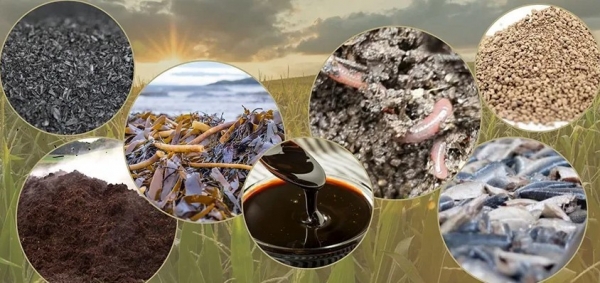 Giá phân bón tăng mạnh gây áp lực lớn lên chi phí sản xuất toàn cầu