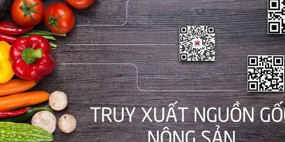 Truy xuất nguồn gốc thực phẩm từng bước xanh hóa tiêu dùng