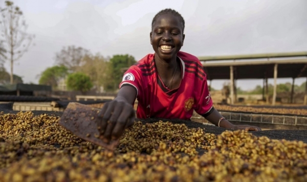 Giá lương thực leo thang, nông nghiệp châu Phi tìm cơ hội từ các thỏa thuận thương mại mới