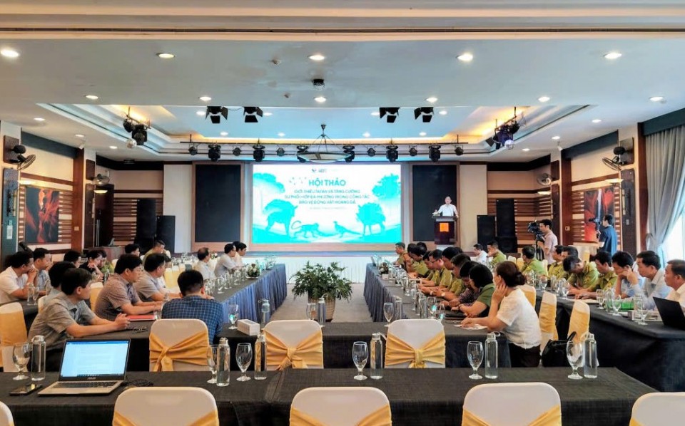 Quảng Trị: Tăng cường sự phối hợp đa phương trong công tác bảo vệ động vật hoang dã