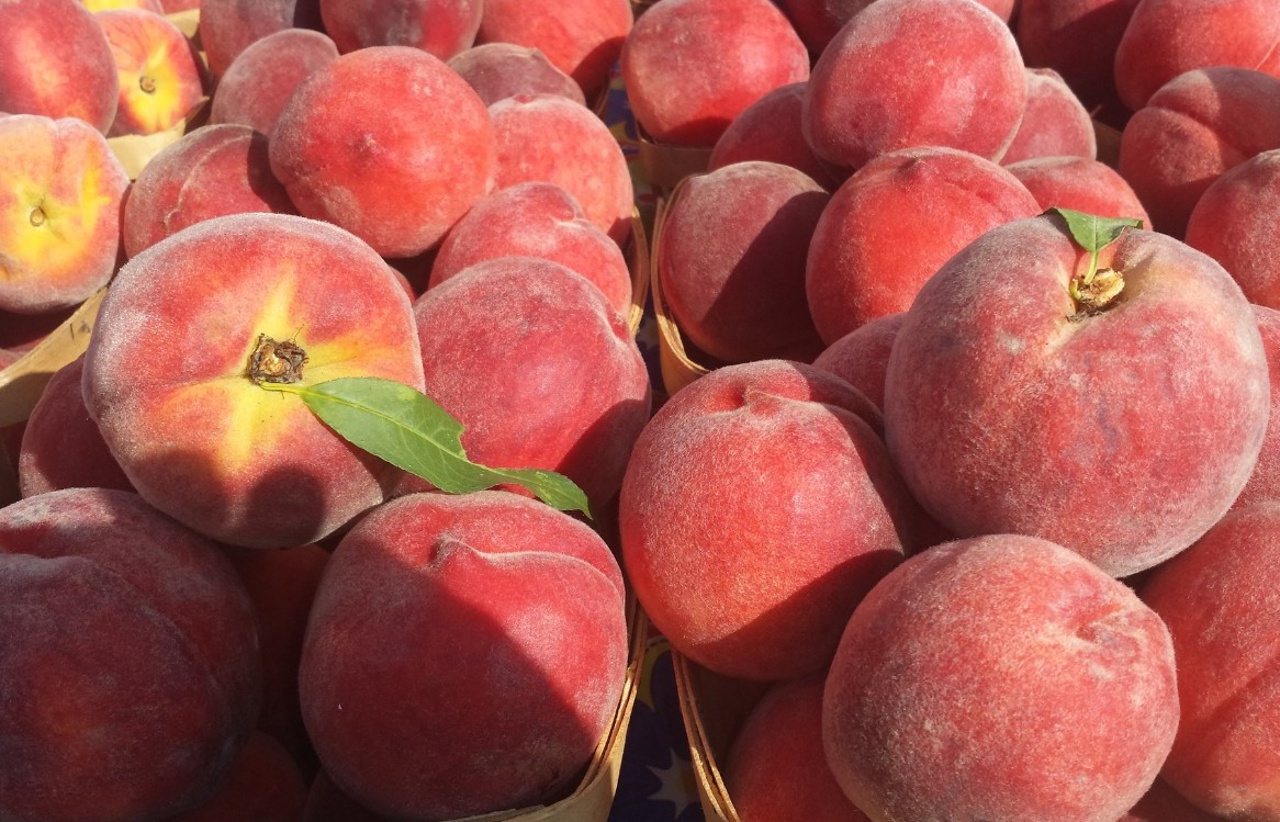 Đặc điểm hình thái giống đào Sớm Địa Linh tỉnh Thái Nguyên