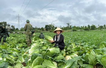 "Bản giao hưởng" giữa tri thức và khát vọng xanh trên miền đất núi lửa