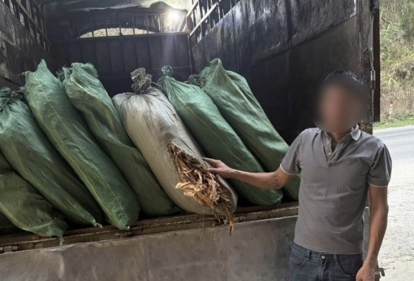 Cao Bằng: Thu giữ hơn 5 tấn nguyên liệu thuốc lá không rõ nguồn gốc