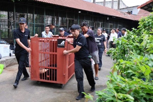 VQG Bạch Mã: Thông điệp nhân văn từ hoạt động cứu hộ 4 cá thể gấu