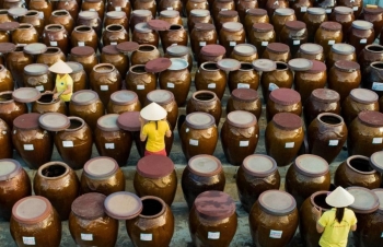 Hà Tĩnh: 2 sản phẩm nước mắm đủ điều kiện công nhận OCOP 5 sao