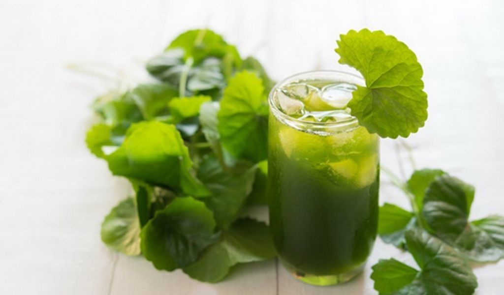 Rau má: Từ thức uống giải nhiệt đến “cứu tinh” làn da