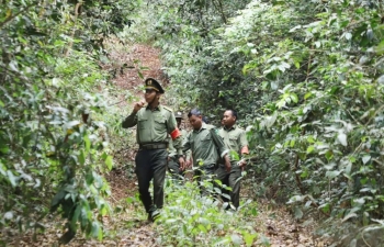 Những “người giữ rừng” nơi bon làng Tuy Đức