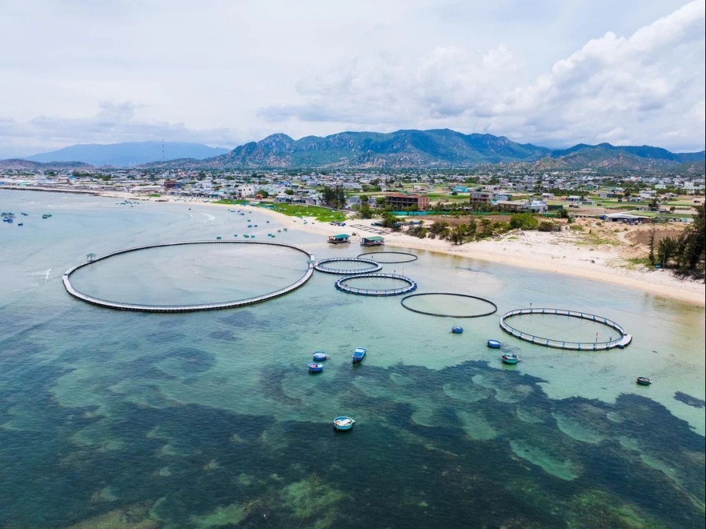 Quảng Ninh sắp có mô hình nuôi biển công nghiệp, ứng dụng công nghệ cao