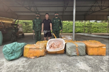 Quảng Ninh: Bắt giữ gần 500kg trứng gà non đông lạnh không rõ nguồn gốc