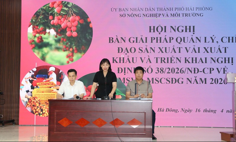 Hải Phòng: Tăng cường hướng dẫn chỉ đạo sản xuất vải phục vụ xuất khẩu năm 2026