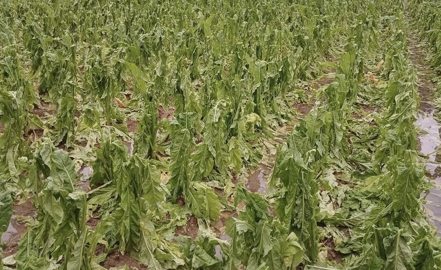 Cao Bằng: Mưa dông kèm lốc và mưa đá gây thiệt hại trên 6,9 tỷ đồng