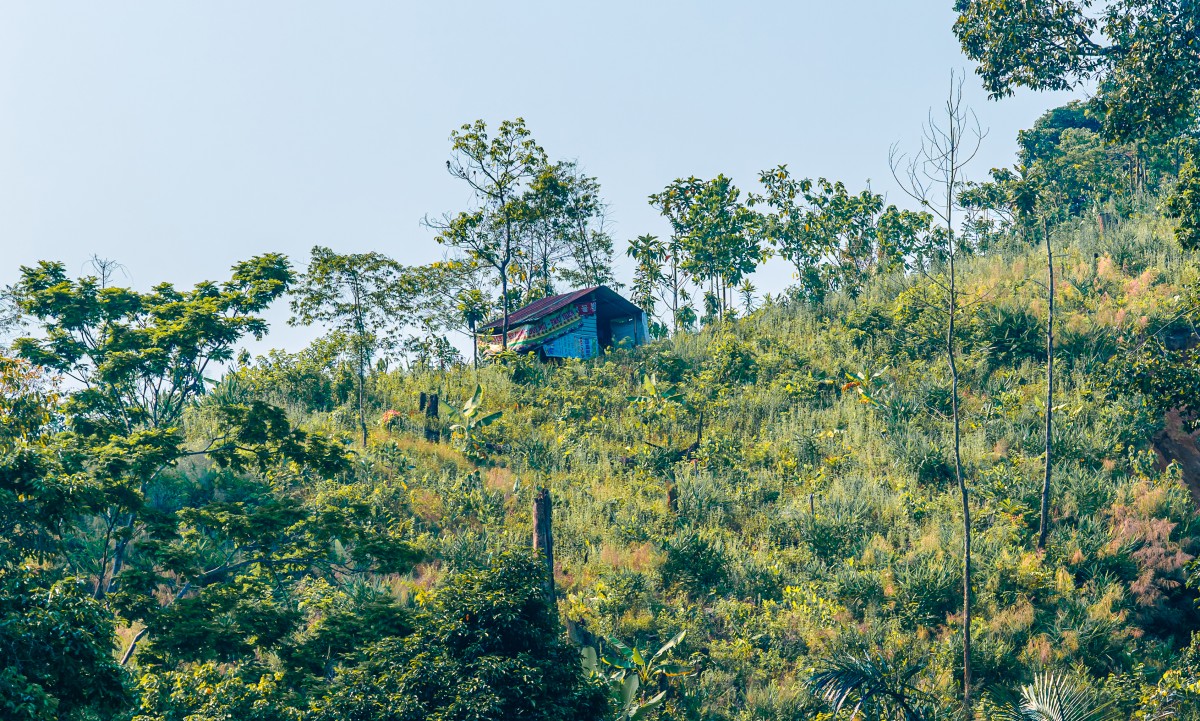 Quế Trà Leng: Từ sản vật đại ngàn đến không gian xúc tiến thương mại