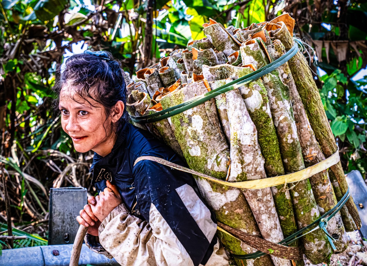 Quế Trà Leng: Từ sản vật đại ngàn đến không gian xúc tiến thương mại