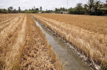 Đồng bằng sông Cửu Long bước vào đợt xâm nhập mặn tăng cao, có nơi lấn sâu trên 60km