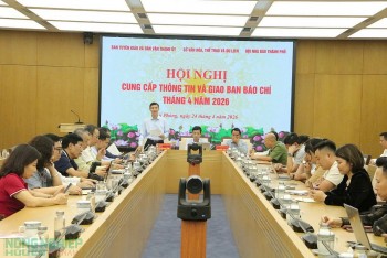 Hải Phòng: 