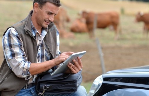 So sánh thú vị giữa nông nghiệp Hoa Kỳ và Việt Nam