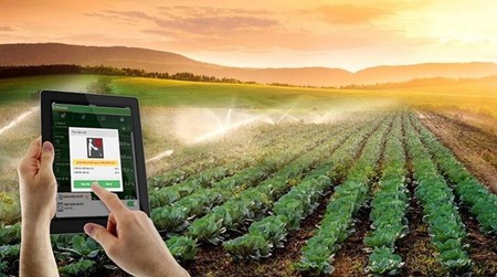 Phân tích dữ liệu nông trại biến thông tin thành các quyết định canh tác