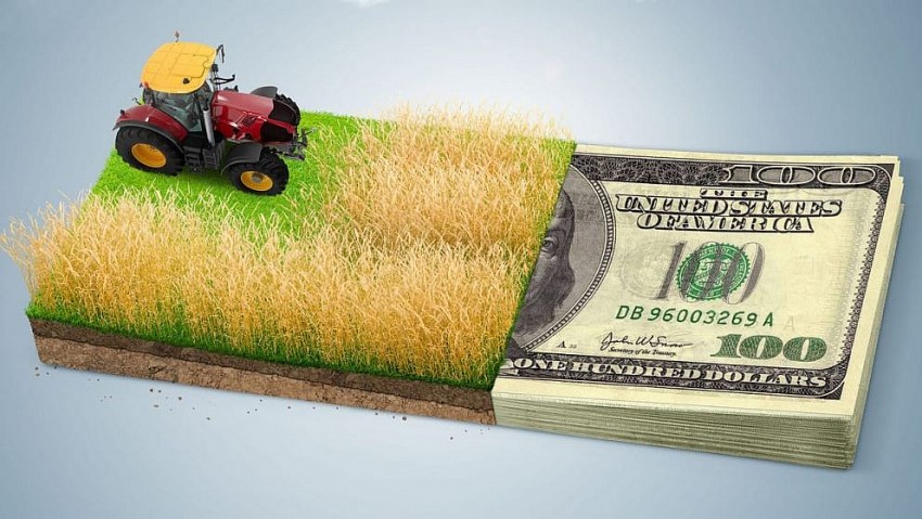 Hàng tỷ USD hỗ trợ nông nghiệp đã được giải ngân nhưng nông dân Hoa Kỳ vẫn đối mặt thua lỗ