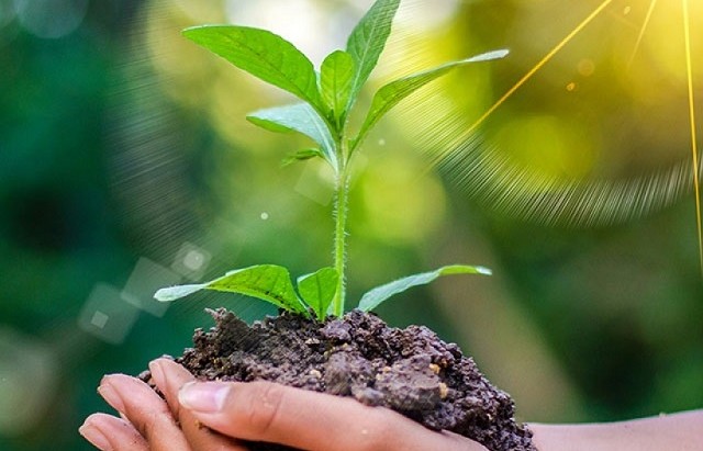 keo dat cot loi cua cac phan ung hoa hoc trong dat