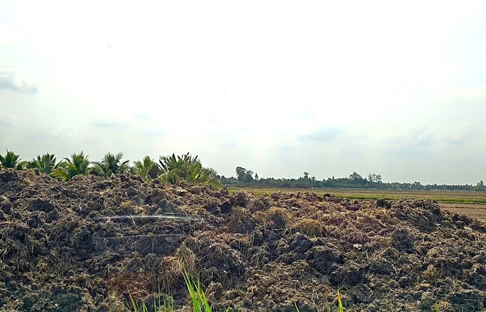 he luy tu viec boc dat mat ruong dem ban