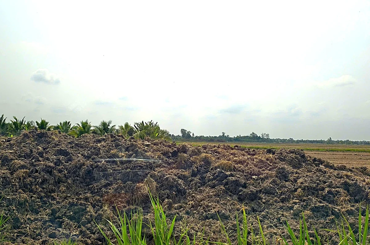 Hệ lụy từ việc 