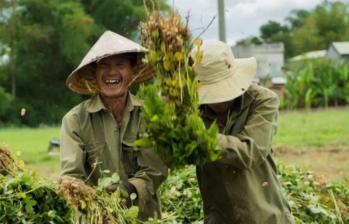 mo hinh huu co xuan nam huong di ben vung cho nong nghiep da nang