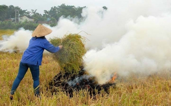 Tây Ninh tăng cường quản lý rơm rạ sau thu hoạch, hạn chế ô nhiễm môi trường