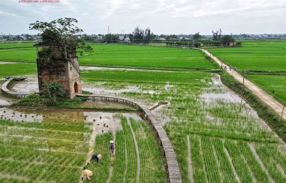 gao tim than lo gach cu o da nang nang tam gia tri nong san