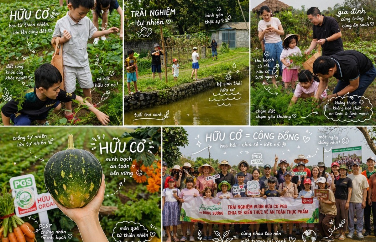 nifam lan toa loi song xanh tu thuc pham va dinh duong