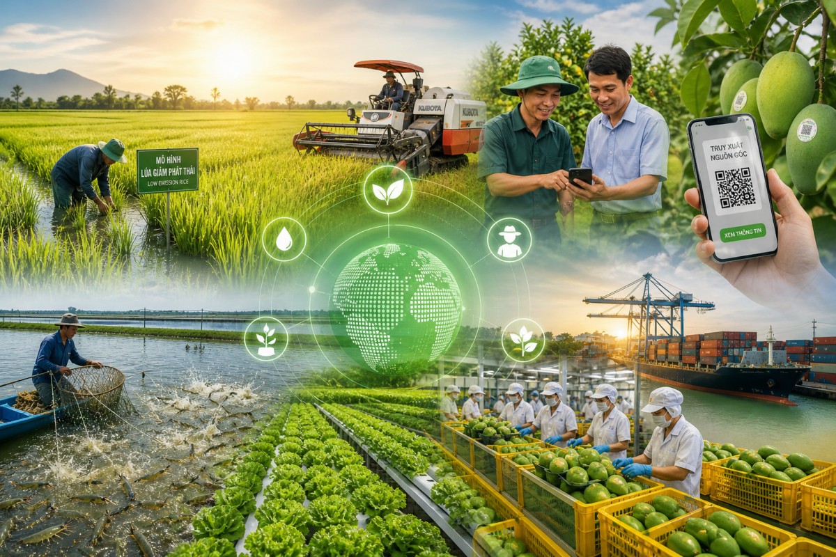 Nông nghiệp xanh và cuộc tái sinh thầm lặng của nền nông nghiệp Việt