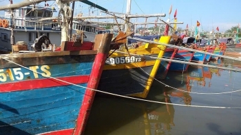 Hải Phòng: Đề xuất chi hàng chục tỷ đồng hỗ trợ giải bản 143 tàu cá
