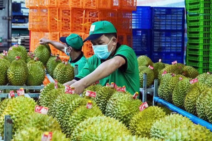 Nông sản Việt trước làn sóng siết chuẩn SPS từ nhiều thị trường lớn