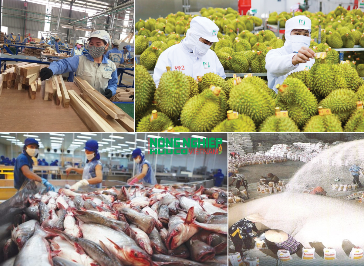Xuất khẩu nông, lâm, thủy sản 2026: Kỳ vọng mục tiêu 74,2 tỷ USD và yêu cầu chuyển đổi chuỗi giá trị