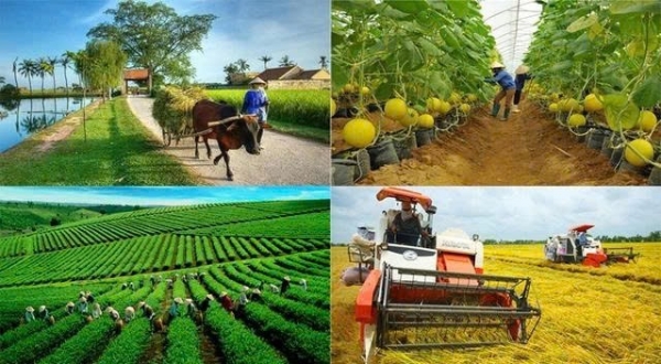 Phát động phong trào thi đua xây dựng nông nghiệp sinh thái, nông thôn hiện đại