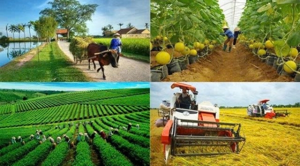 Lâm Đồng đề xuất phát triển khu thương mại tự do, tạo đột phá cho kinh tế nông nghiệp