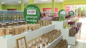 Thúc đẩy sản xuất xanh, mở rộng thị trường xuất khẩu bền vững