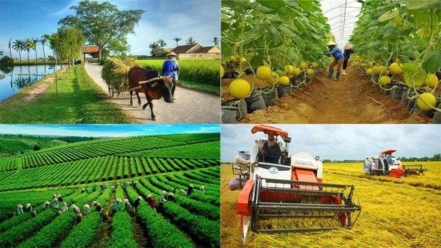 Triển khai bình chọn “Thương hiệu Vàng nông nghiệp Việt Nam” năm 2026