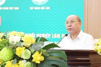 Khi người cao tuổi ‘thắp lửa’ kinh tế xanh