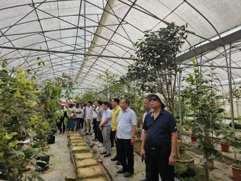 Tầm nhìn chiến lược khơi nguồn lực nâng tầm nông nghiệp Ninh Bình