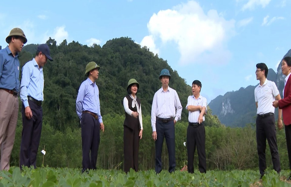 chung nhan huu co eu buoc ngoat cho nong san truong son