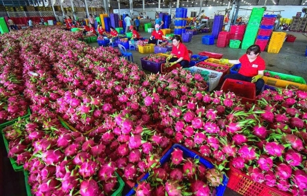 Yêu cầu tuân thủ nghiêm các quy định để thúc đẩy xuất khẩu nông sản