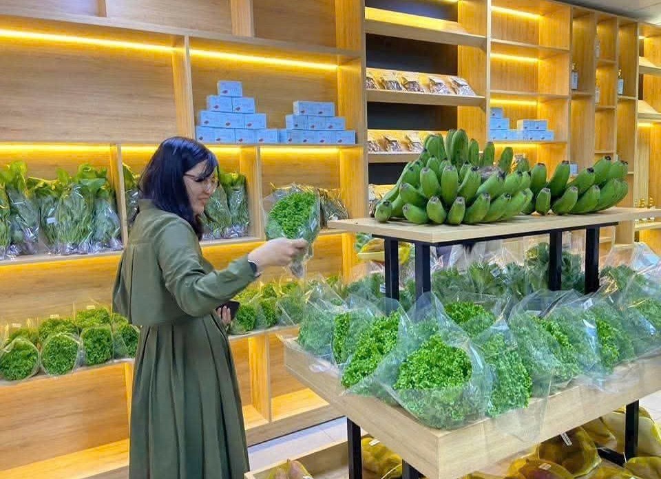 Lâm Đồng đặt mục tiêu phát triển xanh, bền vững giai đoạn 2026 - 2030