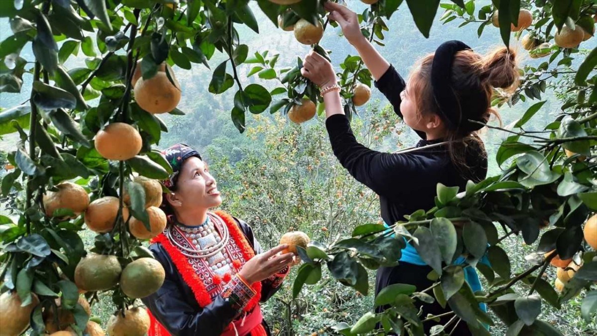 Thành lập Ban Chỉ đạo Trung ương Chương trình mục tiêu quốc gia giai đoạn 2026 - 2030