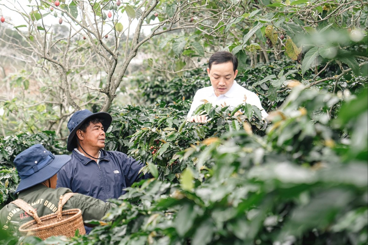 Phát triển hạ tầng thiết yếu gắn với sinh kế xanh cho vùng đồng bào dân tộc thiểu số