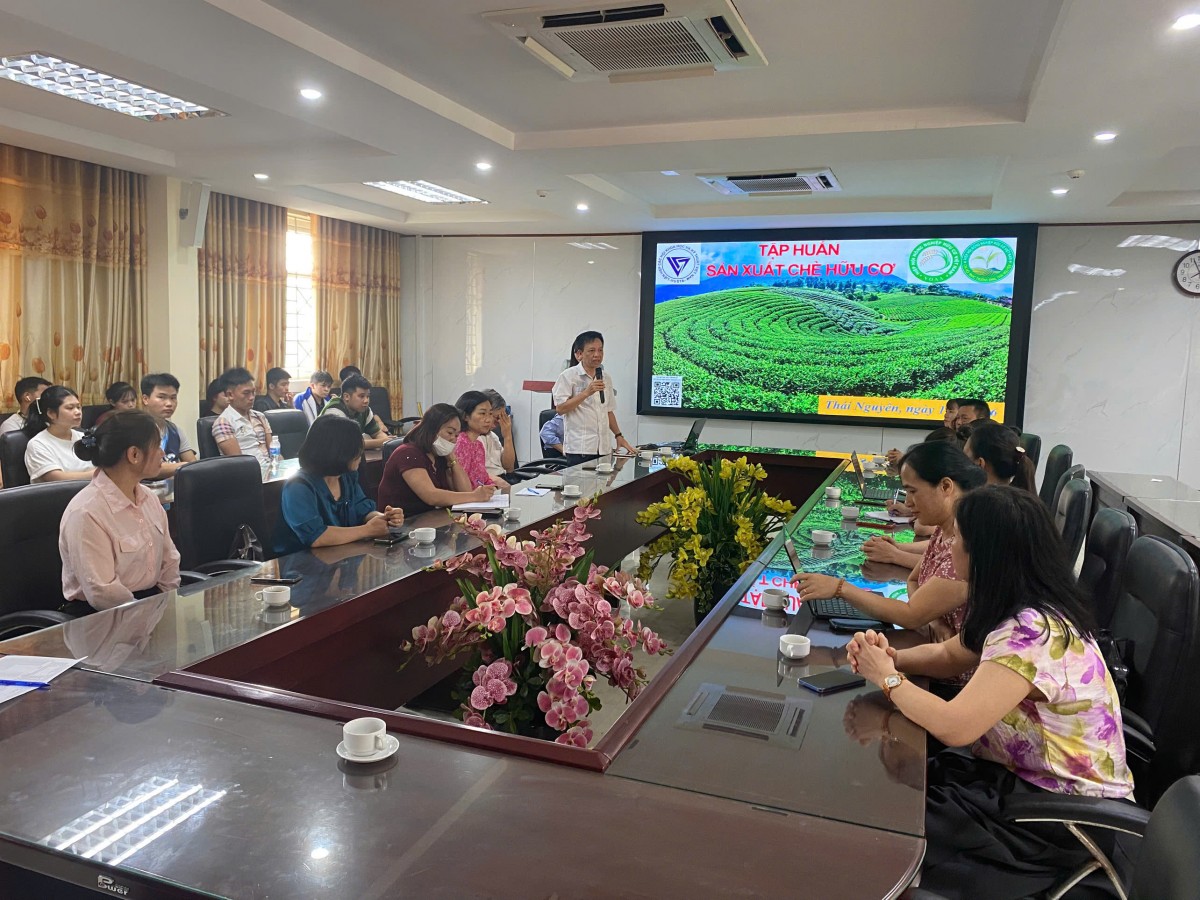 Phát triển chè hữu cơ, nâng tầm thương hiệu “Đệ nhất danh trà” Thái Nguyên