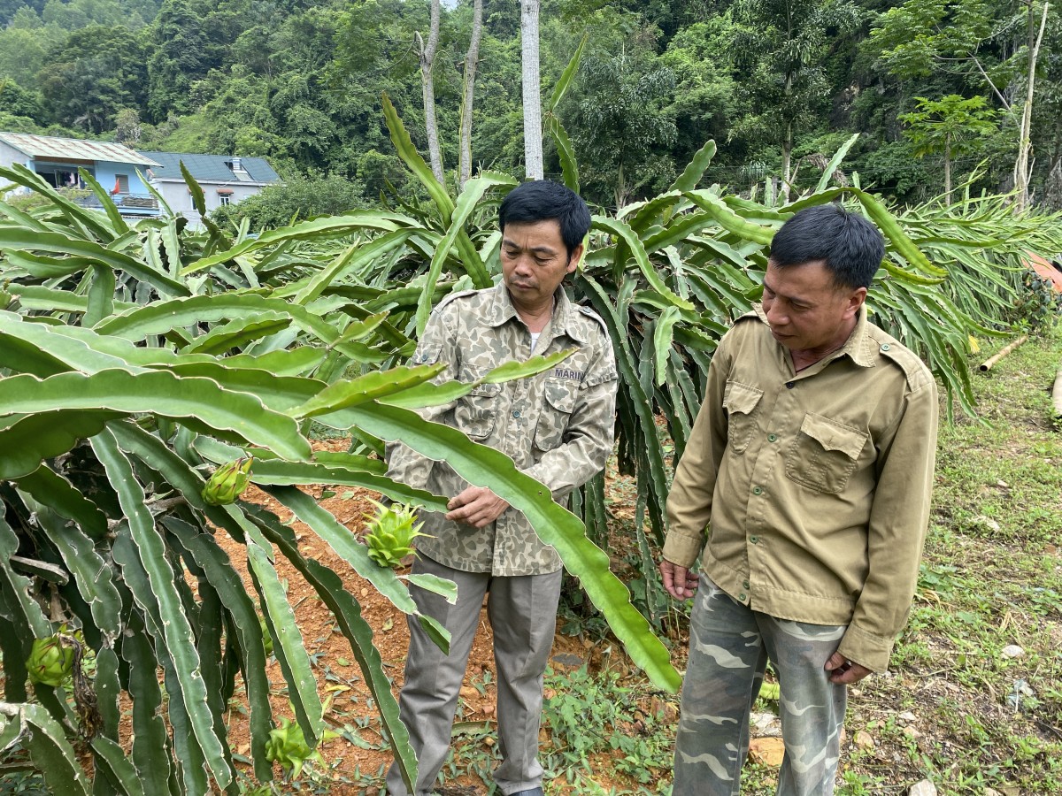 Quỹ hỗ trợ nông dân - động lực thúc đẩy kinh tế nông thôn bền vững