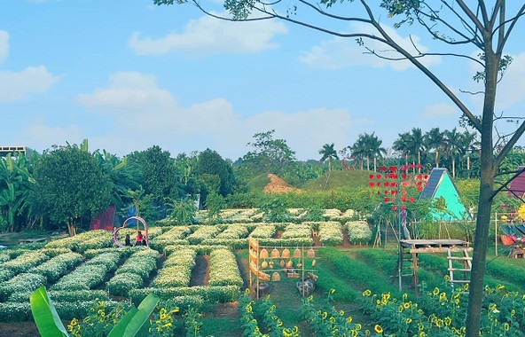 Làng nghề sinh vật cảnh Hồng Vân: Nơi đánh thức màu xanh của đất Thủ đô